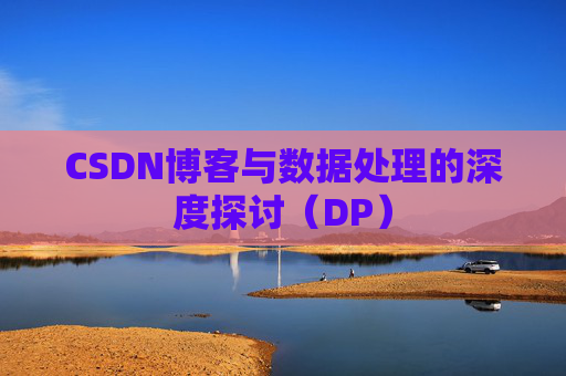 CSDN博客与数据处理的深度探讨（DP）
